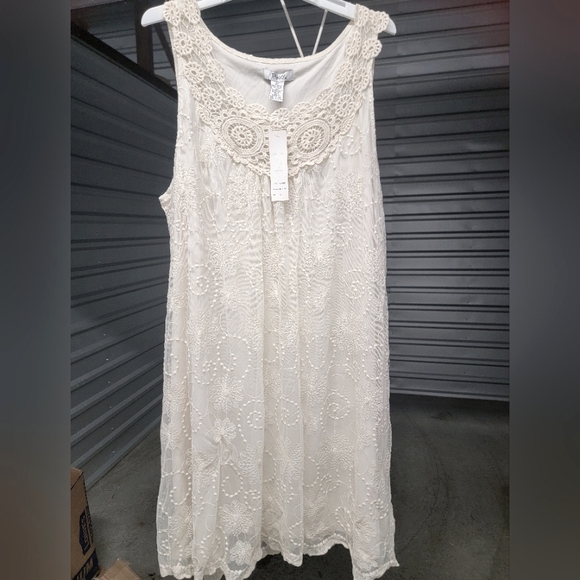 Cream Embroidery Tulle Dress - Picture 1 of 5